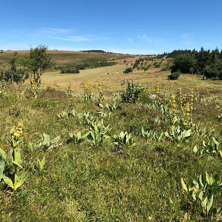 Dans Les Monts Du Forez * Le Fayt