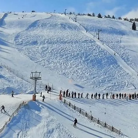 Dans Les Monts Du Forez בקתה