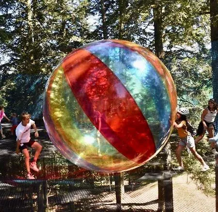 Dans Les Monts Du Forez Le Fayt