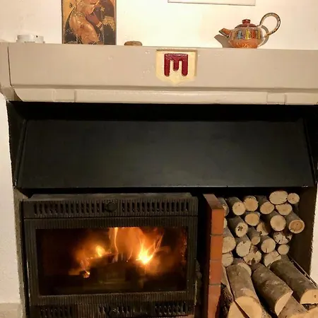 Dans Les Monts Du Forez *