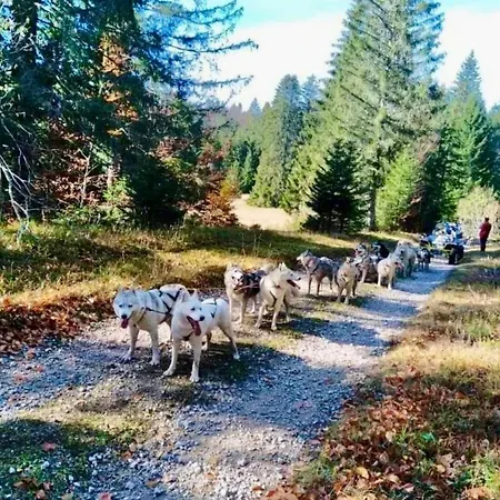 Dans Les Monts Du Forez בקתה Le Fayt